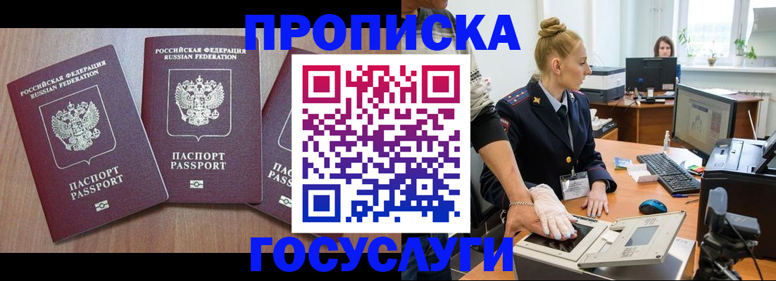 прописка поиск в Купино
